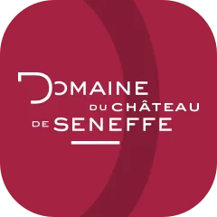 App Icon Musée du Verre